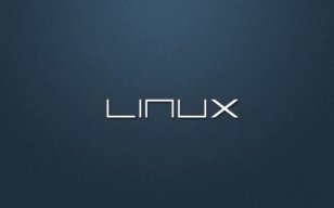  Linux޸11Ȩ©