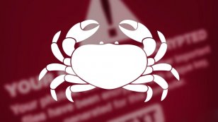 GandCrab 5.0ϯȫ 360ȫʿֽ֧ܲɱ